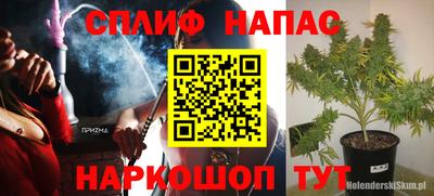 spice Камышлов
