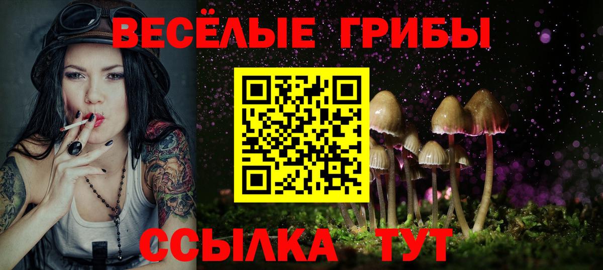 Псилоцибиновые грибы мухоморы Лабытнанги